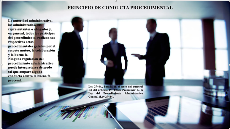 PRINCIPIO DE CONDUCTA PROCEDIMENTAL